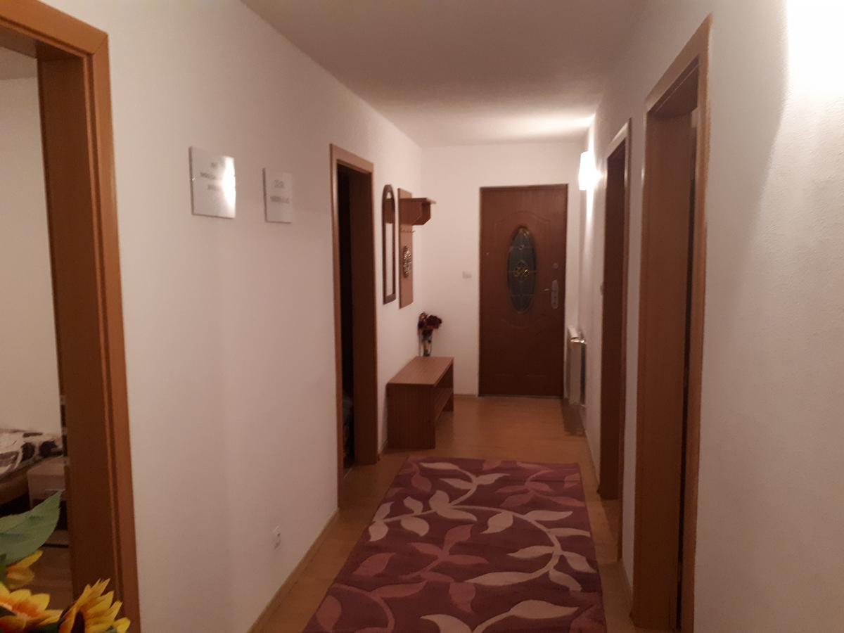 Homestay Renata Nová Lesná المظهر الخارجي الصورة